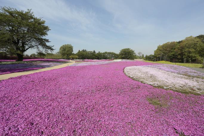 東武トレジャーガーデン（イメージ）