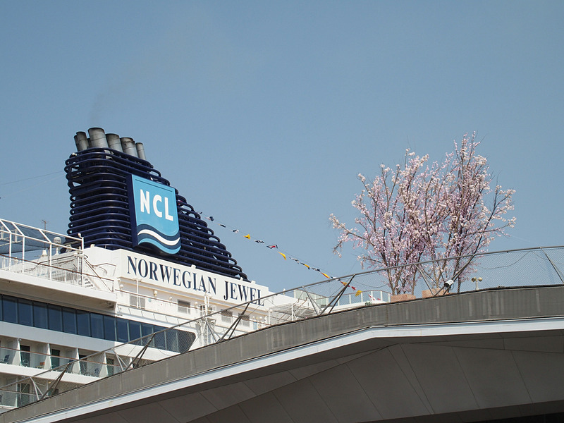 ノルウェージャン・ジュエルはこの5時間後の1日20時に次の寄港地清水に向けて出港した。横浜には4月末と10月と今回を含めて2018年中に4回寄港する予定だ。その後、シンガポールに回航して改装工事に入り、2019年には初めてのシンガポール発着クルーズに就航、その後ジャワ海、オールトラリア近海と回って、2019年春に再び日本の寄港する予定としている