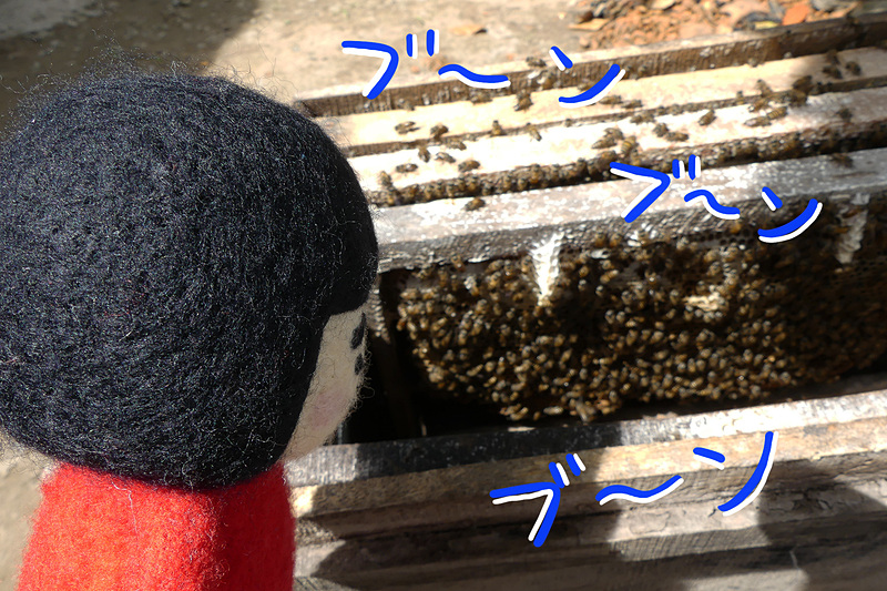 待っていたのはミツバチの巣