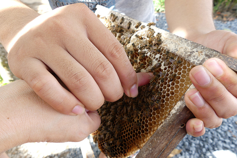 ギャ～！　いきなり何の罰ゲームですの～!?