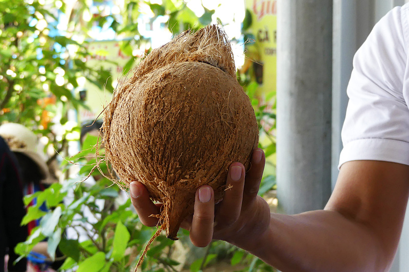 ご存じ、ココナッツ
