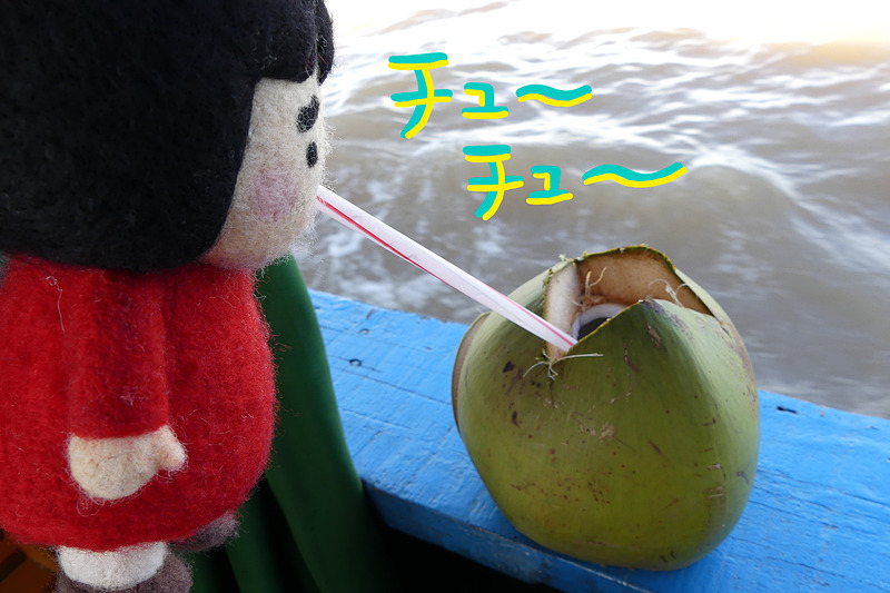 帰りのボートでいただいたぬるいココナッツジュース