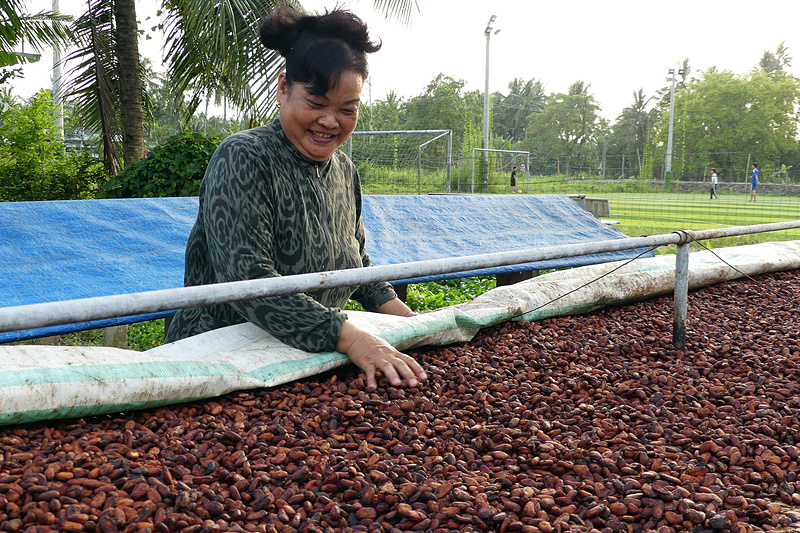 発酵したあとはこうして8日間干します