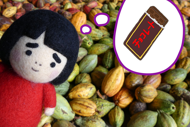 ベトナムのチョコレート、ぜひ食べてみてくださいませね