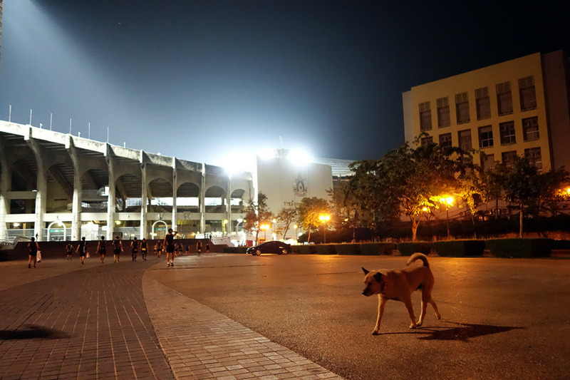 バスを降りてスタジアムへ向かいます