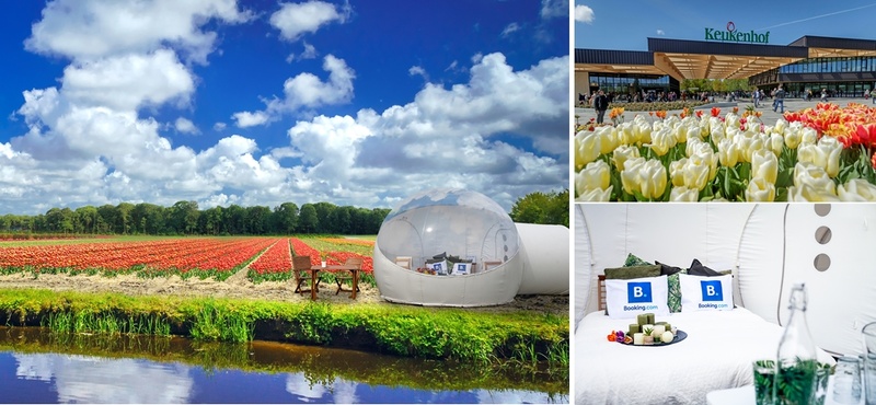 オランダ・キューケンホフ公園のチューリップ畑に設置された透明なポッド型宿泊施設「チューリップポッド」への宿泊体験をブッキング・ドットコムが提供