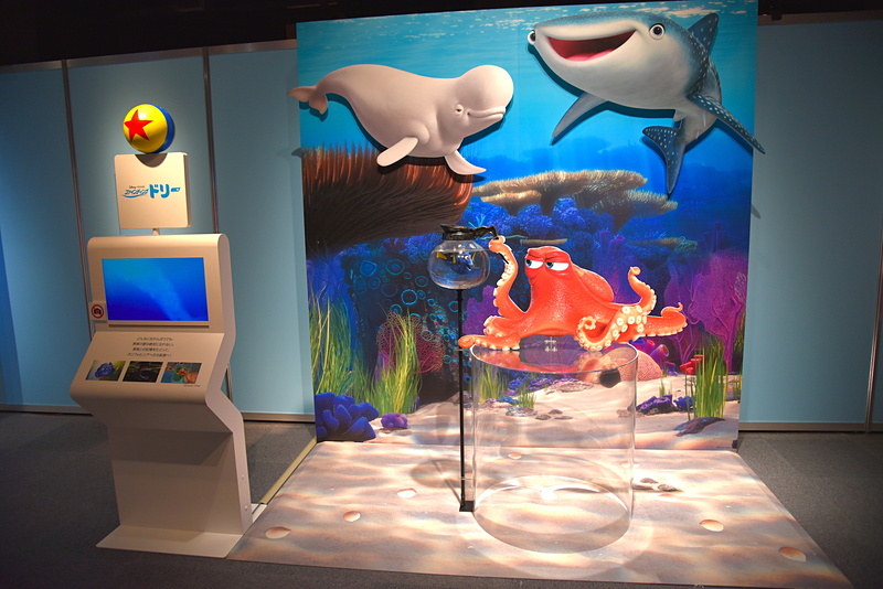 美しい海をバックにハンクたちと撮影も楽しめる