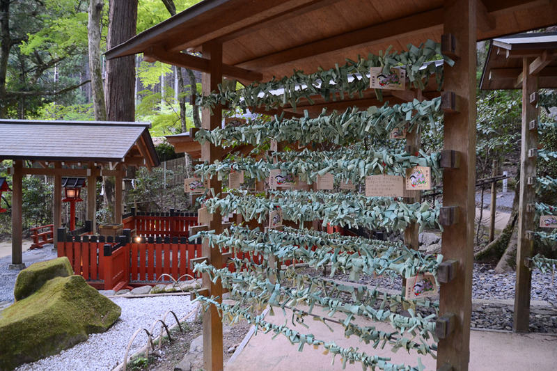たくさんの願いごとが結ばれている