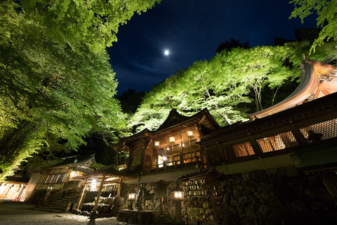 初夏の京都をゆっくり歩く 古都京都の青もみじ 御朱印めぐり 旅 トラベル Watch