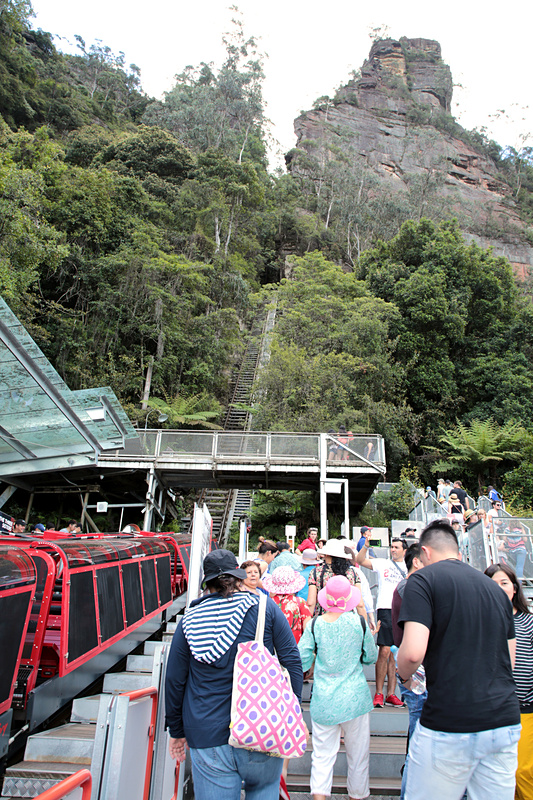 標高差310m、10分おきに最大84名を乗せてトロッコが往復する。開業は1945年で、70年以上も前だ