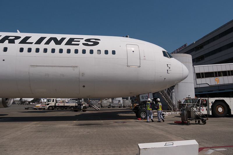 地上で出発の準備をするJAL311便。ここでも男性だけが携わっている