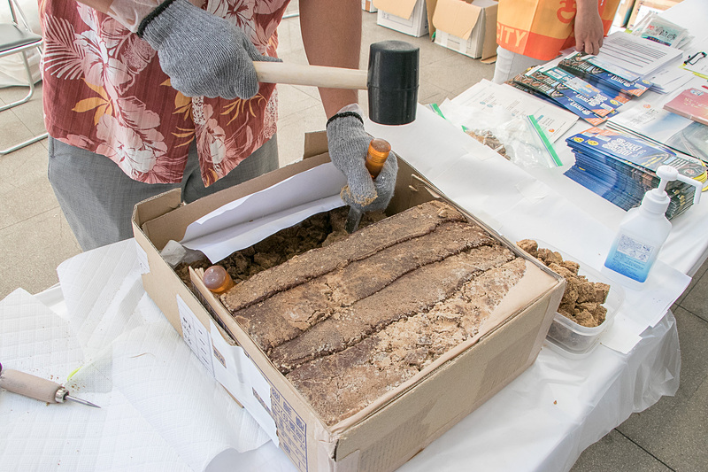 黒糖の大きな塊をかち割り来場者に無料で振る舞っている