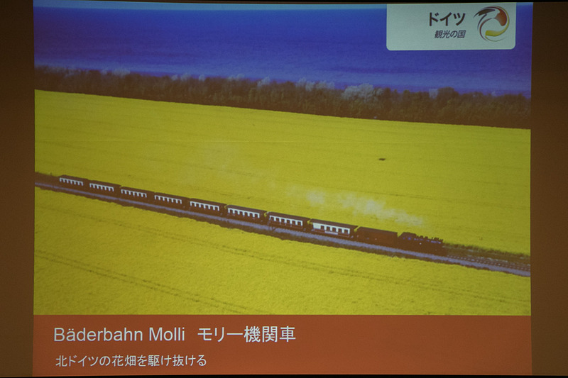 バルト海を背景に北ドイツの菜の花畑を駆け抜ける「モリー機関車」
