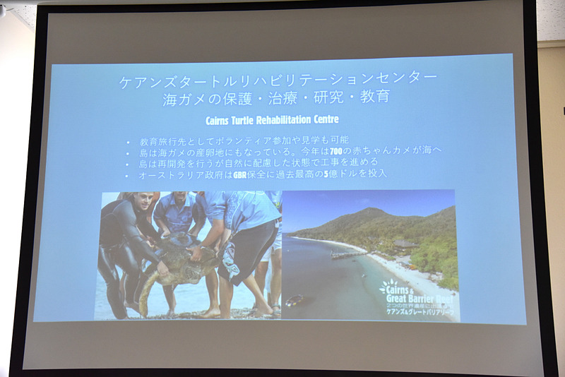 ウミガメの保護と治療ならびに研究や教育について