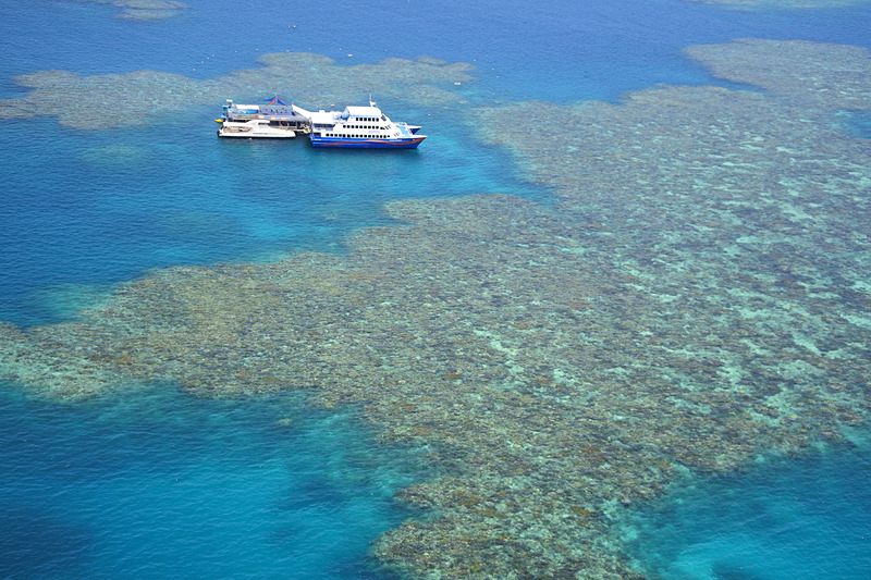 ケアンズからクルーズ船に乗り込みグレートバリアリーフへ