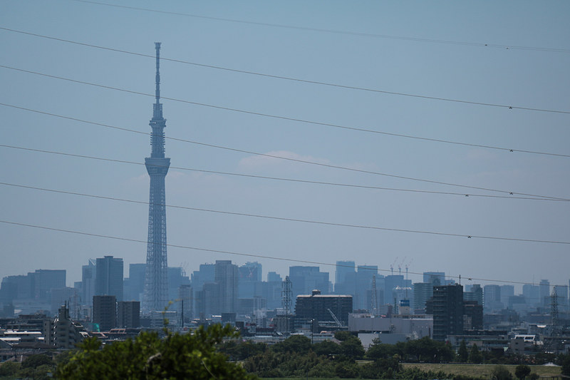 たまたま取材前のロケーションチェックで見付けた、国道298号 矢切トンネルの上にある緑地。外環道 葛飾大橋や国道6号と国道298号のジャンクションを見下ろせる場所であるが、東京スカイツリーはもちろん空気が澄んでいれば富士山も眺められる。「養成中」の立て札や植え込みなどの様子から、公園として整備中のようだ