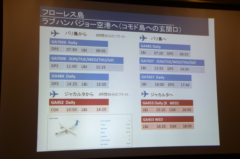 フローレス島のフライト（コモド島への玄関口）