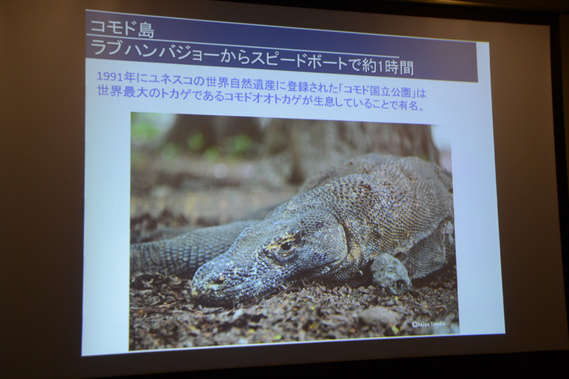 コモドドラゴンが生息するコモド島