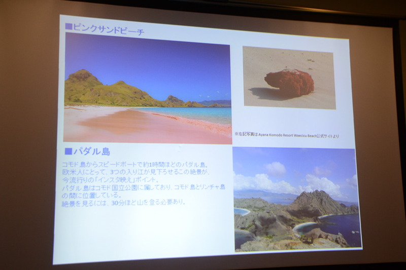 コモド島からスピードボートで約1時間ほどのところにあるパダル島