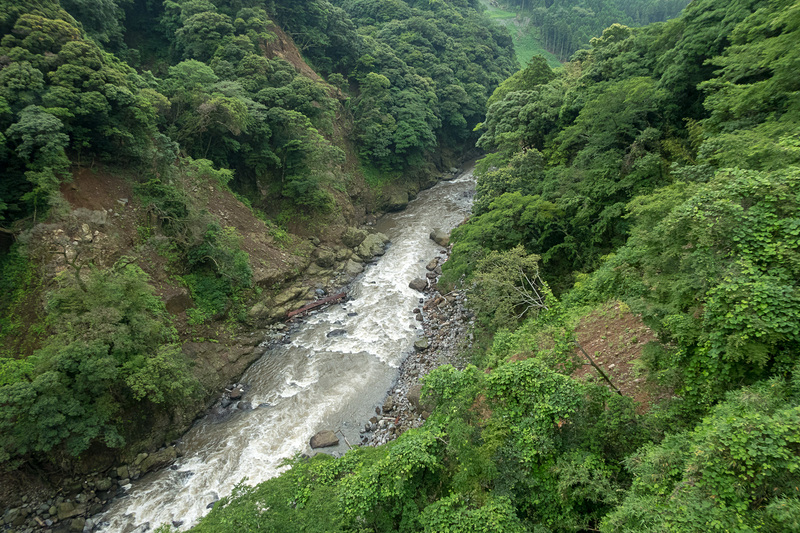 アーチ橋の骨組みや北向き山原生林を流れる白川など、構造物も自然の景色も同時に楽しめる