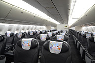 ビッグ5が空を駆け巡る、東京ディズニーリゾート35周年特別塗装機「JAL