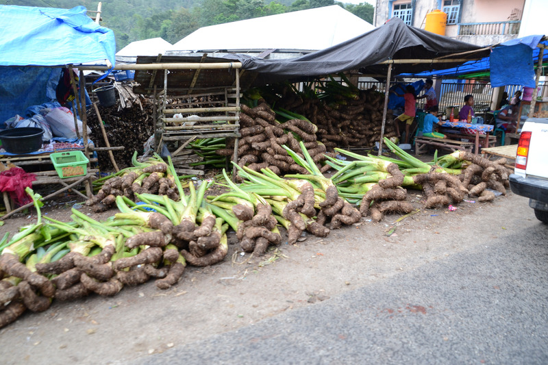 途中クルマから見えた風景。路上で大きな芋や野菜を売っていたり、収穫を終えた田んぼや山々が見えた