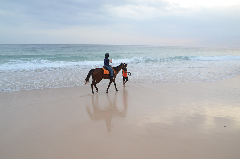 サンセットホースライディングを体験