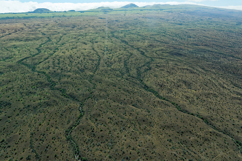 北に行くほど近年の噴火の影響を受けていない地域が多いためか、次第に緑が増えはじめる