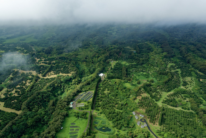北に行くほど近年の噴火の影響を受けていない地域が多いためか、次第に緑が増えはじめる