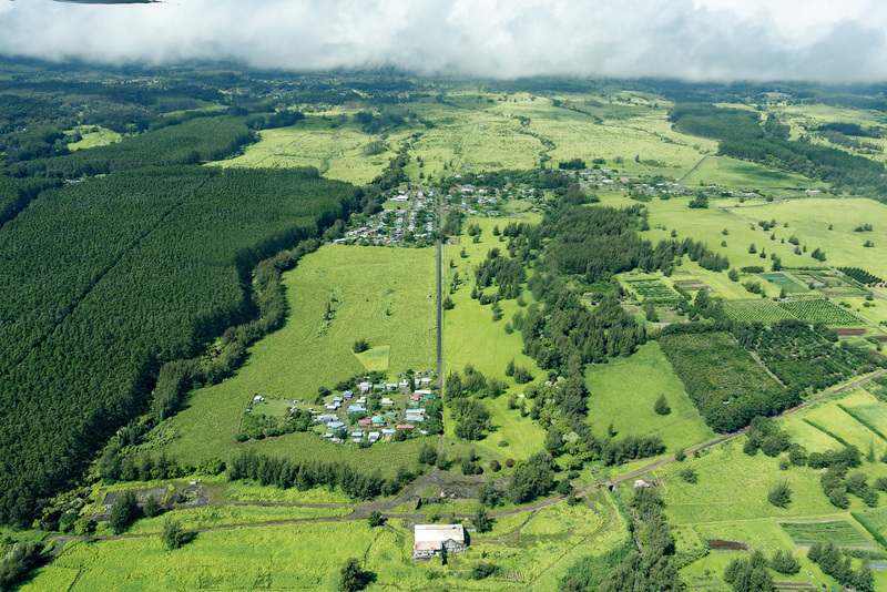 北東部周辺も緑豊かな地域になっている