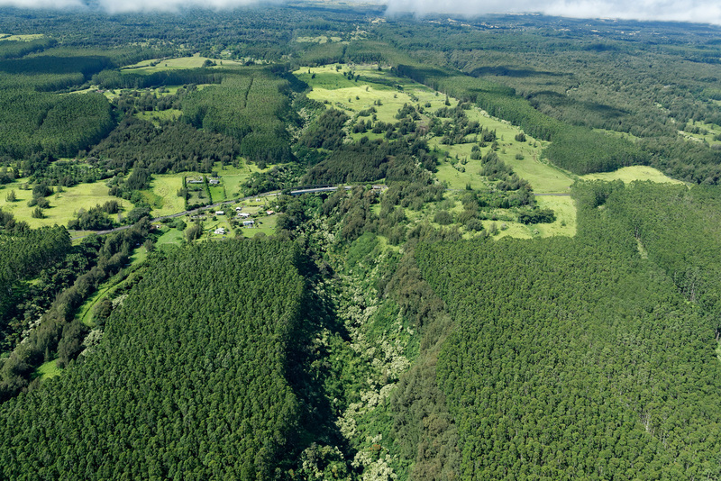 北東部周辺も緑豊かな地域になっている