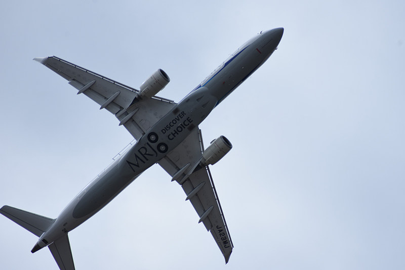会期3日目には再び飛行展示を実施した