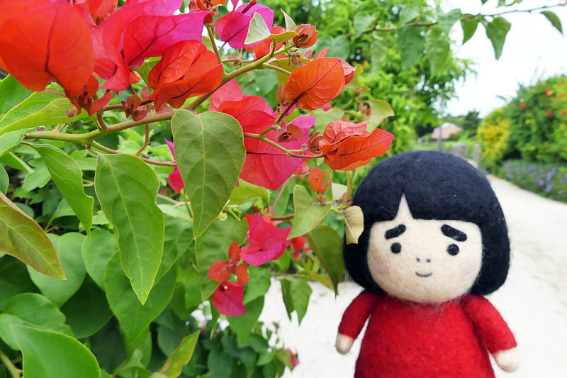 ハイビスカスの花の前でパチリ