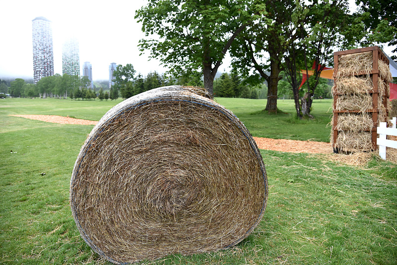 自分の背丈ほどある大きな牧草ロールも点在