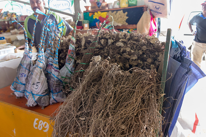 こちらがヤンゴーナ