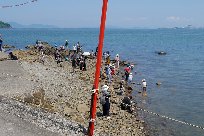 ちょうど引き潮だったため、周囲では水遊びをする親子連れも多く見られた