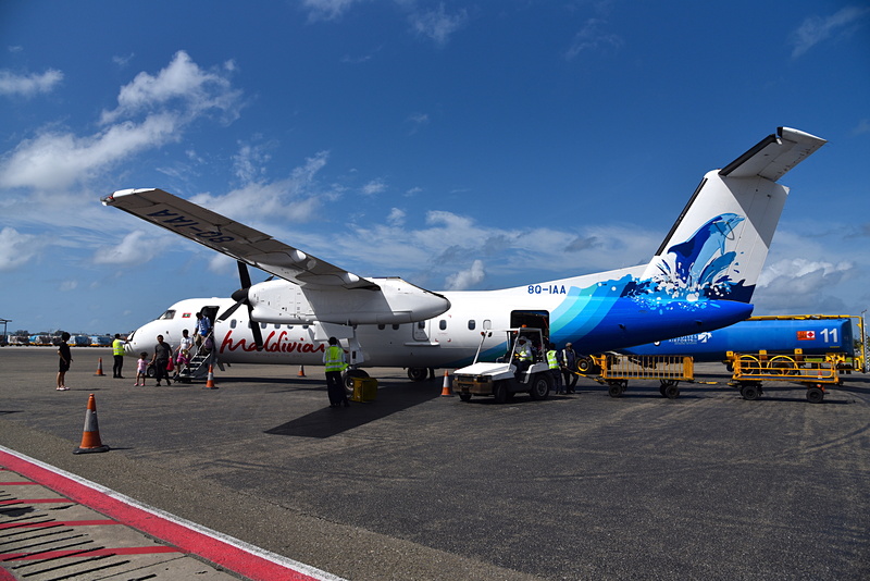 イルカのイラストが描かれたDash 8-300