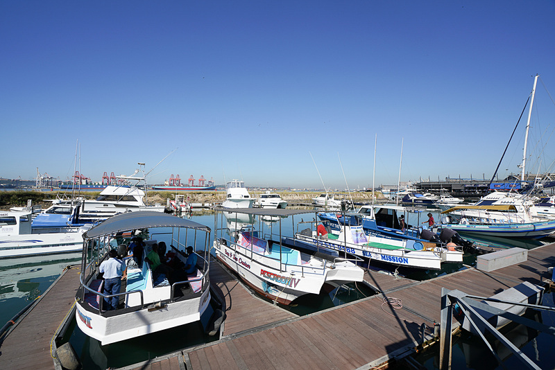 ダーバン港には、観光用のクルーズ船が係留されている