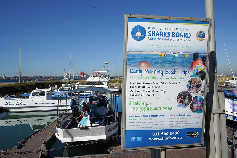 さまざまなツアーが用意されている。これは早朝にサメを見に行くツアー