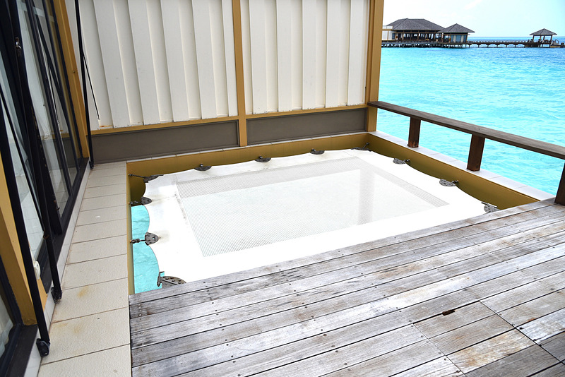 ハンモックに寝転んでうとうとするのも気持ちがよい