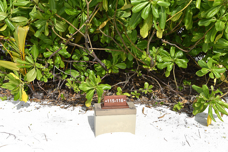 部屋番号表示もあるので迷わない