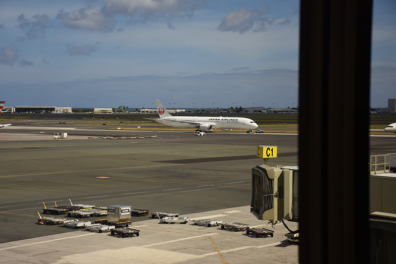 時間帯によっては窓の外にJAL便が複数見えることもあるという