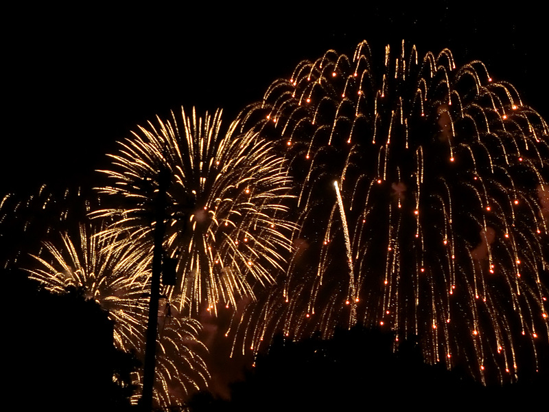 三国花火大会の花火