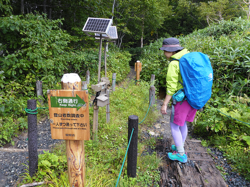 入り口には入山者数をカウントするセンサーみたいなものがありました