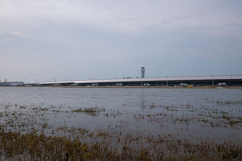 A滑走路脇の芝生に残る大量の海水