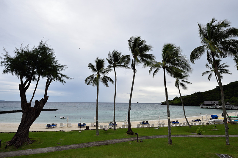 美しく整備されたプライベートビーチ。もちろん、ヤシの実は定期的に収穫して落下事故を防止している