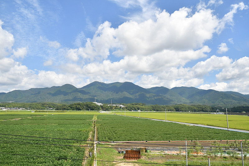 市場駅付近で停車し、福智山（900.6m）と田園風景をしばしの間楽しむ