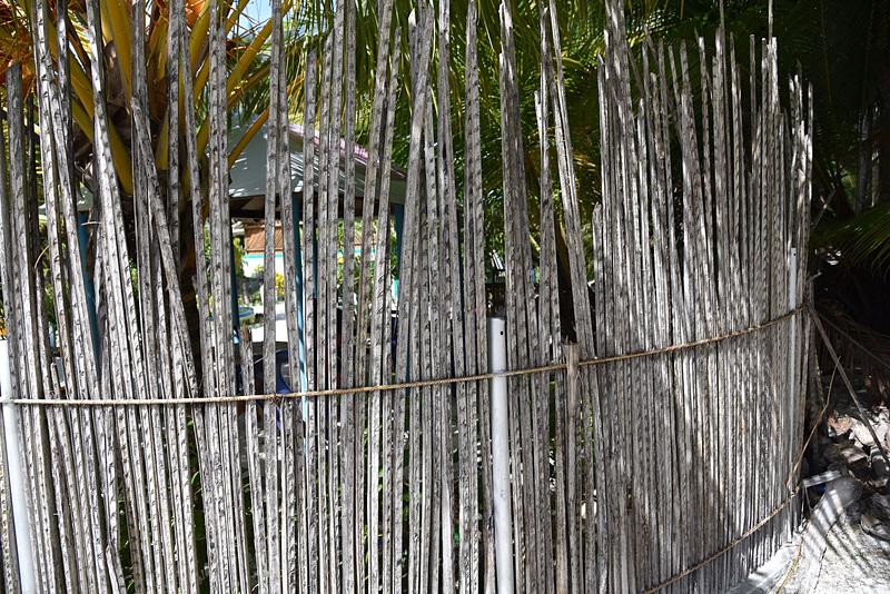 乾燥したヤシの葉は屋根や仕切りなどに使われる