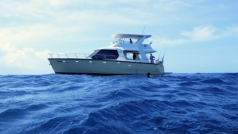 PLAYERと呼ばれるマリンスポーツに関する専門スタッフが手を取ってサポートしてくれる