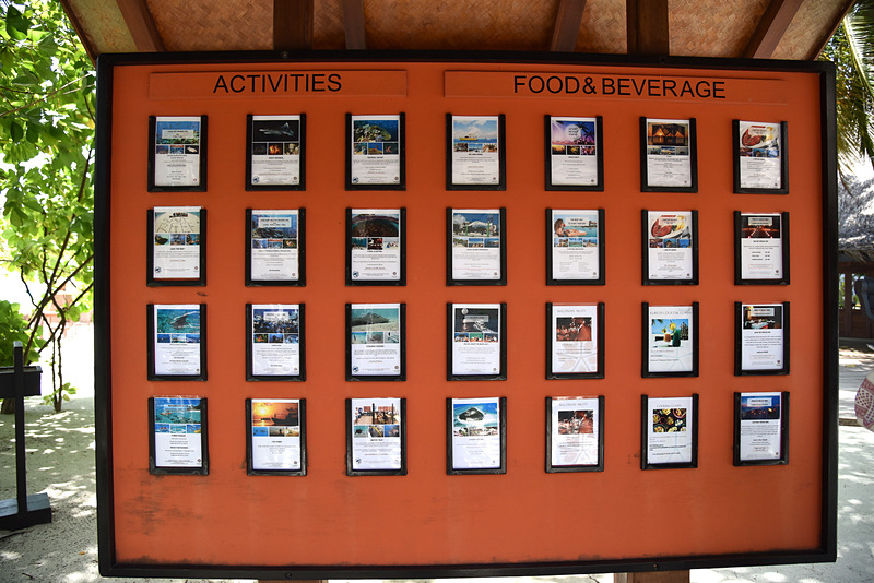 オススメのアクティビティの説明がボードに張り出されているのでじっくり吟味しよう